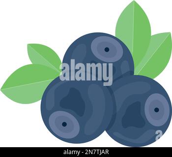 a blueberries with leaves on a white background illustration Stock Vector