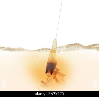 Dipping of tea bag into hot water against white background Stock Photo