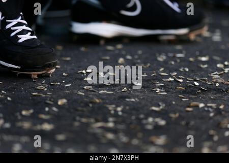 https://l450v.alamy.com/450v/2n7x3ph/sunflower-seed-shells-sit-on-the-dugout-floor-below-chicago-white-sox-second-baseman-jeff-keppinger-as-they-play-the-kansas-city-royals-during-the-sixth-inning-in-an-exhibition-spring-training-baseball-game-sunday-march-17-2013-in-surprise-ariz-ap-photogregory-bull-2n7x3ph.jpg
