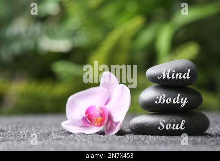 Stones with words Mind, Body, Soul and orchid on sand. Zen lifestyle Stock Photo