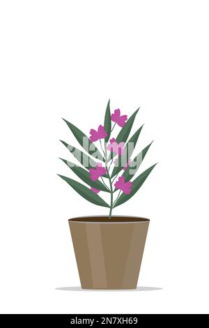 an indoor plant flowers in a pot green vector illustration Stock Vector