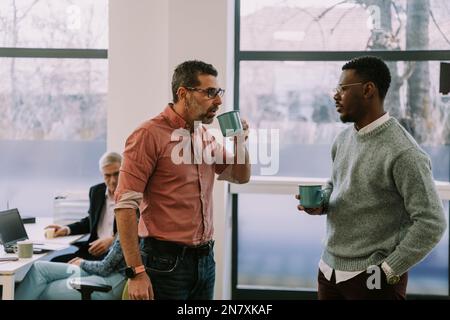 Two diverse coworkers making a plan for their next client on the internet at the office Stock Photo