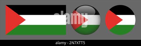 Palestine Flag set collection Vector Stock Vector