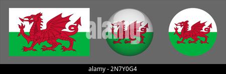 Wales Flag set collection Vector Stock Vector