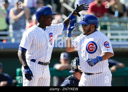 Anthony Rizzo and Dioner Navarro get after each other in rivalry