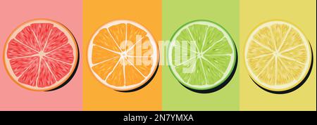 set of citrus lime lime orange grapefruit cutaway Stock Vector