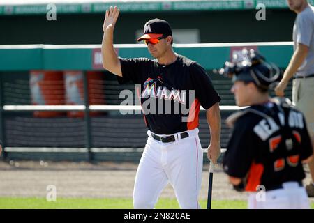 Tampa's Tino Martinez resigns as Marlins hitting coach