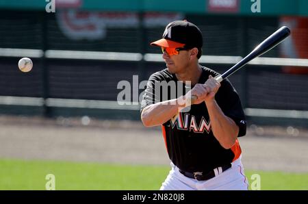 Martinez, Coach With Marlins, Is Said to Be Abusive - The New York