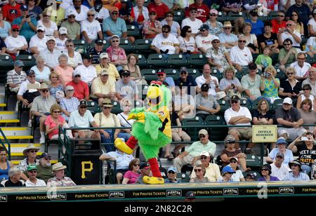 Photo: Pittsburgh Pirates Mascot in Pittsburgh - PIT2013091516