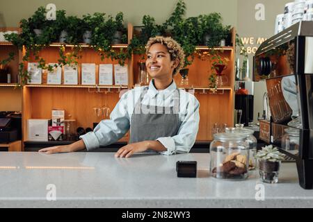 Smiling female bartender looking away while standing at the counter. Young barista in an apron. Stock Photo