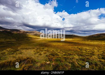 A landscape view in the late afternoon on the Cascade Hut Trail near Dead Horse Gap and Thredo in Kosciuszko National Park, New South Wales, Australia Stock Photo