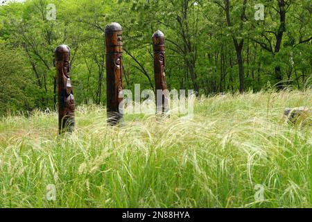 Sculptures of ancient pagan slavic gods carved of wood on the Khortitsa island. Stock Photo