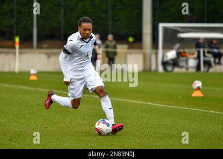 Swansea, Wales. 4 February 2023. Aimar Govea of Swansea City under pressure  from Finley Cotton of Millwall during the Professional Development League  game between Swansea City Under 18 and Millwall Under 18