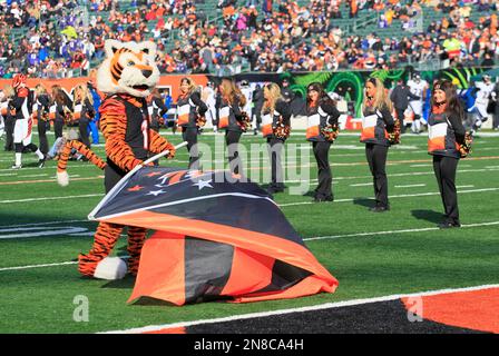 Cincinnati Bengals rookies visit WPAFB > Wright-Patterson AFB