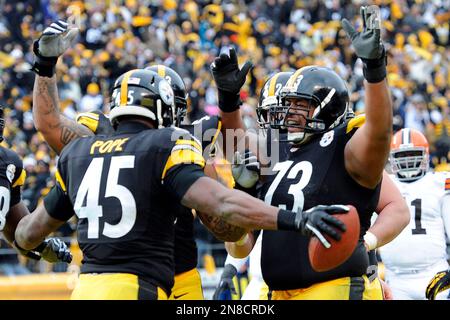 Pittsburgh Steelers' Leonard Pope (45) gets wrapped up by Carolina