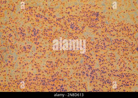 Abstract corroded colorful rusty metal background, rusty metal texture Stock Photo