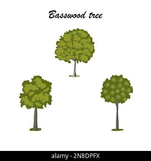 Basswood tree icon set, flat style vector illustration Stock Vector