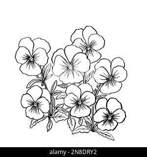 Bouquet of violets with leaves. Black silhouette on white background