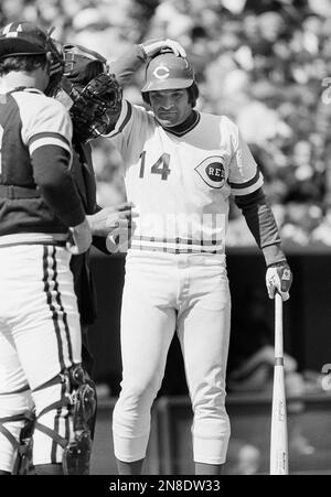 Cincinnati Reds batter Pete Rose fouls off a pitch while trying for a bunt  against the Montreal Expos in Cincinnati, July 18, 1978. Rose was  successful on his next try, however, to