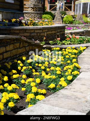 Landscape design of home garden, landscaping with flowers and stone retaining walls in house backyard in summer. Beautiful flowerbed and trimmed plant Stock Photo