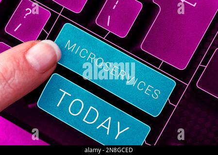 Text showing inspiration Microservices. Word for Software development technique Building single function module Stock Photo