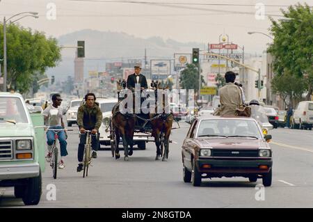 The body of drug kingpin Felix Mitchell is carried by a horse-drawn ...