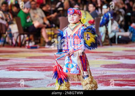 Hollywood, FL, USA. 11th February 2023. 50th Anniversary Seminole Tribal Fair and Pow Wow Show at Seminole Hard Rock Casino on February 11-12, 2023. Wildlife shows, drumming competition and exhibition dancing. Credit: Yaroslav Sabitov/YES Market Media/Alamy Live News Stock Photo