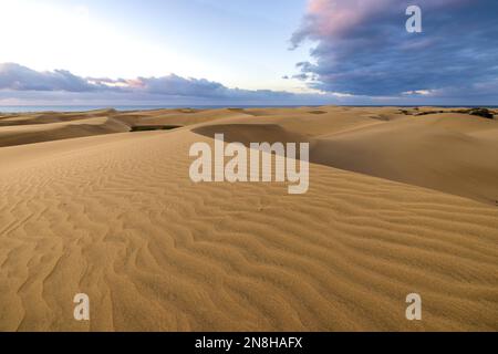 Maspalomas Dunes before the sunset. Landscape photo of beautiful desert and ocean. Stock Photo