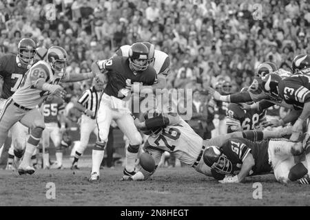 Minnesota Vikings Fran Tarkenton (10) is sacked by Los Angeles Rams Cody  Jones (76) and Mike Fanning (79) late in the third quarter in Los Angeles,  Jan. 1, 1979. Rams beat the