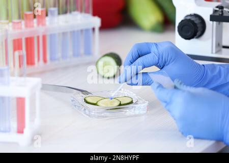 Scientist proceeding quality control in laboratory, closeup. Fresh cucumber analysis Stock Photo