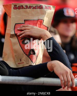 A fan wears a paper bag on his head during the Detroit Lions-New Orleans  Saints NFL football game in Detroit, Sunday, Dec. 21, 2008. New Orleans won  42-7 to drop Detroit to