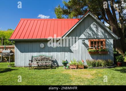 Old grey wood planked storage and garden shed with red standiing seam sheet metal roof in residential backyard in summer. Stock Photo