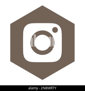 Instagram social media app icon in brown hexagon shape. Simple flat vector illustration. Stock Vector