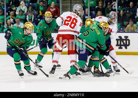 South Bend, Indiana, USA. 11th Feb, 2023. Players battle for the loose puck during NCAA hockey game action between the Ohio State Buckeyes and the Notre Dame Fighting Irish at Compton Family Ice Arena in South Bend, Indiana. John Mersits/CSM/Alamy Live News Stock Photo