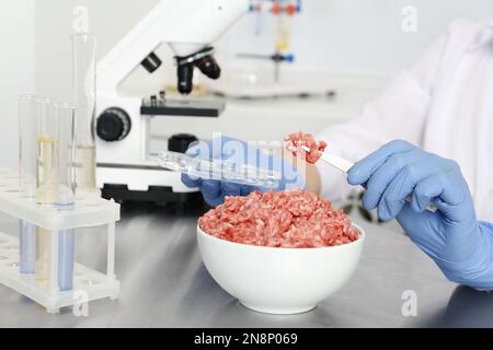 Scientist inspecting forcemeat in laboratory, closeup. Food quality control Stock Photo