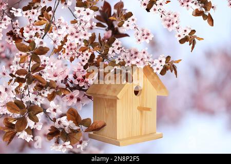 Beautiful wooden bird house hanging on blossoming tree outdoors. Springtime Stock Photo