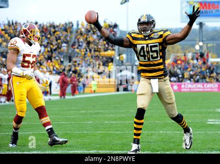 Pittsburgh Steelers' Leonard Pope (45) gets wrapped up by Carolina