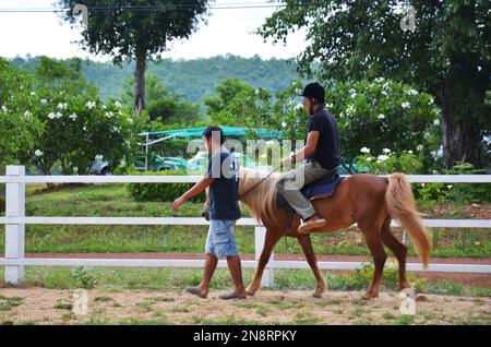 Travelers young thai men riding pony dwarf horse or Miniature horse walking in stable box stall animal farm of activity resort at Kaeng Krachan Nation Stock Photo