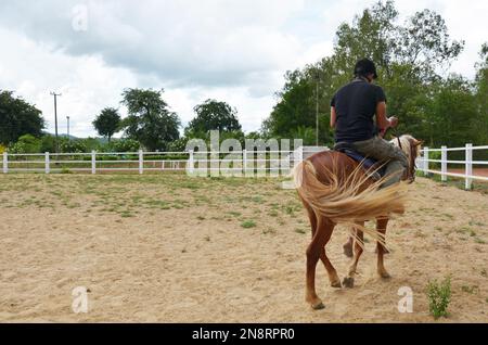 Travelers young thai men people riding pony dwarf horse or Miniature horse walking in stable box stall animal farm of activity resort at Kaeng Krachan Stock Photo