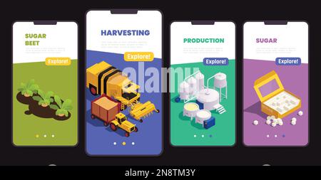 Sugar production mobile app set of smartphones with information about machinery for beet harvesting and factory equipment isometric vector illustratio Stock Vector