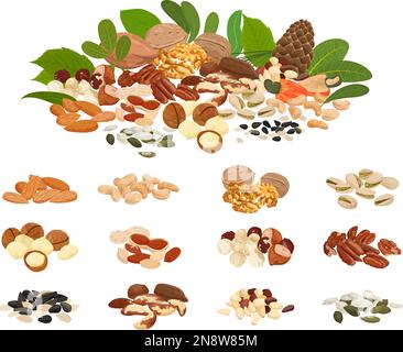 Nuts and seeds flat set with isolated images of bean piles and big variety of seed vector illustration Stock Vector