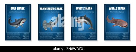 Realistic shark poster set with different types of dangerous fishes isolated vector illustration Stock Vector