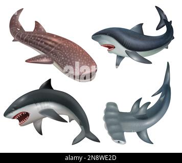 Realistic shark fishes icons set on white background isolated vector illustration Stock Vector