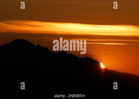 Closeup of sun rising over Mt. Baker in Washington with clouds and birds. A small volcanic gas plume is backlit and visible near the summit. Taken fro Stock Photo