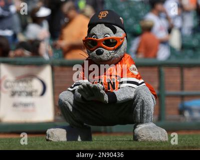 Behold, San Francisco's newest attraction: A mini-Lou Seal that greatly  impressed its namesake