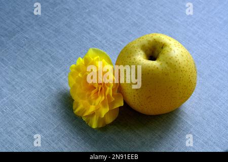 Close up photo of a Nashi Pear, also known as Asian Pear. Pyrus pyrifolia is a species of pear tree native to East Asia. Stock Photo