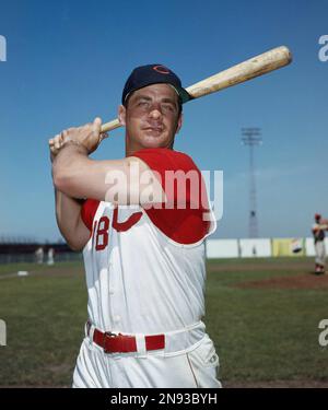 Action Shot of Cincinatti Red's Ted Kluszewski, Following the