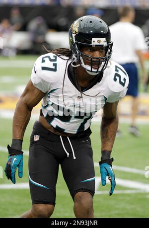 28 November 2010: Jacksonville Jaguars cornerback Rashean Mathis (27)  during the game where the New York Giants hosted the Jacksonville Jaguars  at the New Meadowlands Stadium in East Rutherford, NJ. The Giants