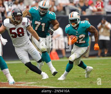 Miami Dolphins' Reggie Bush (22) takes the hand-off from Matt Moore (8) and  runs for a long touchdown in the snow against the Buffalo Bills during the  second half of an NFL