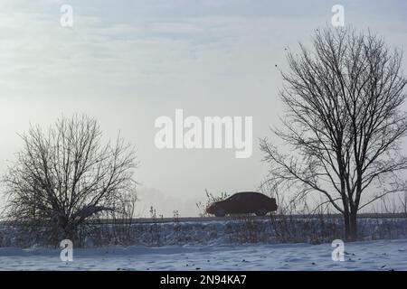 Passenger car in the fog on a winter road with large snowdrifts on the side of the road. Stock Photo